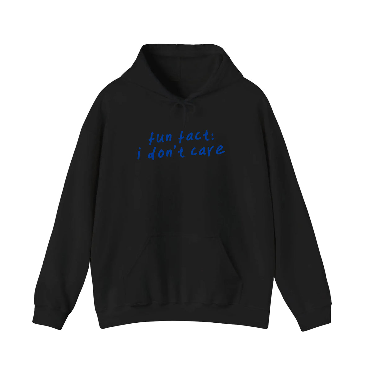 Fun Fact I Don't Care Hoodie