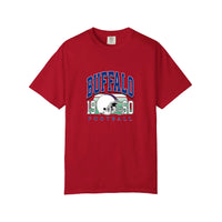Comfort Colors® Buffalo 1960 Football Tee — Red