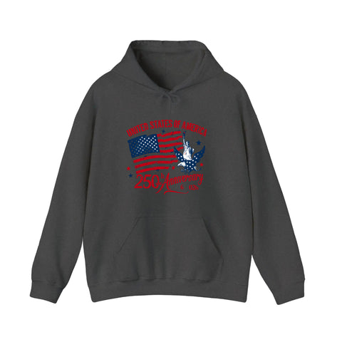 USA 250th Anniversary Hoodie