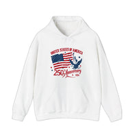 USA 250th Anniversary Hoodie — White