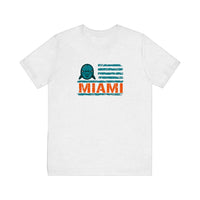 Miami Dolphin Flag Quality Tee — Ash