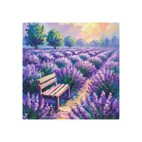 Lavender Bench at Sunset in Bloom